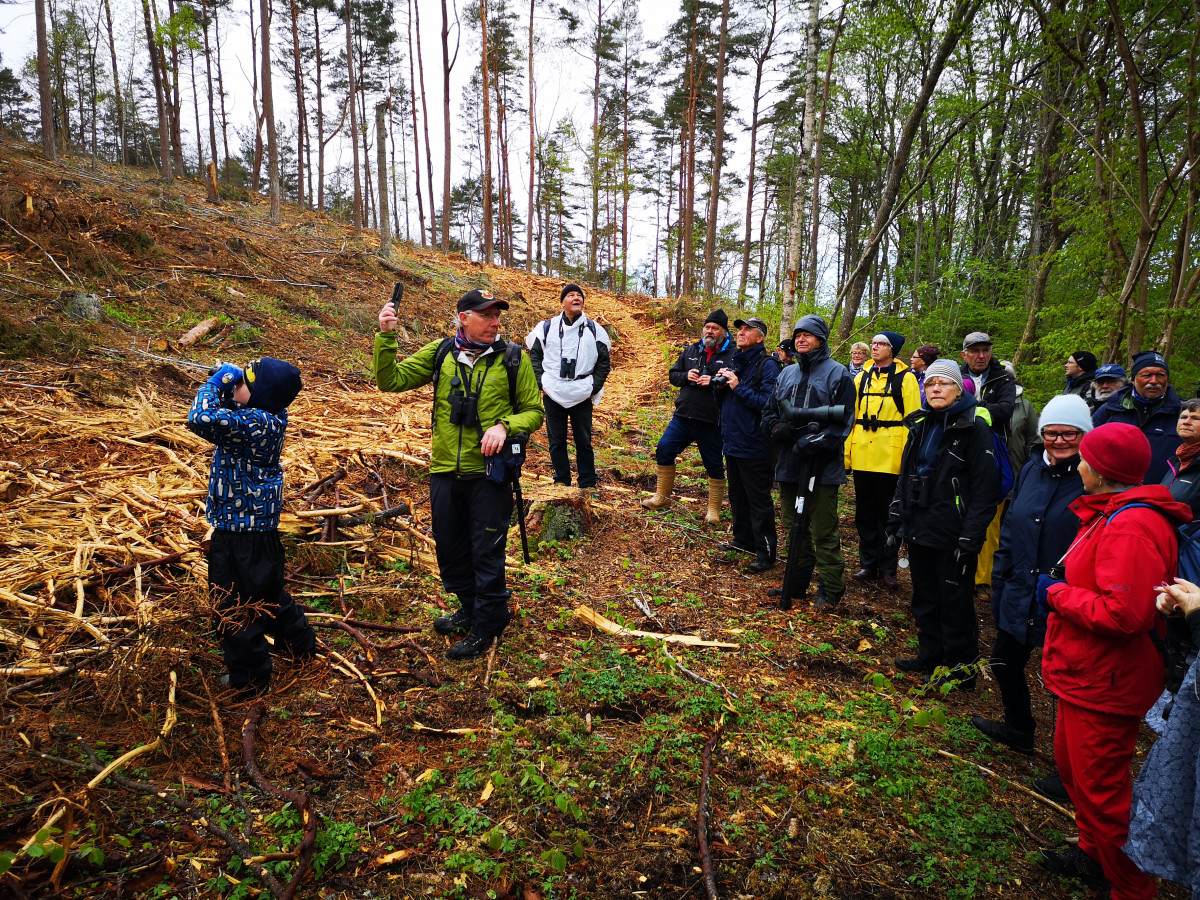 Jan Uddén framför intresserade fågelskådare i alla åldrar Foto: Lars Joelsson källan