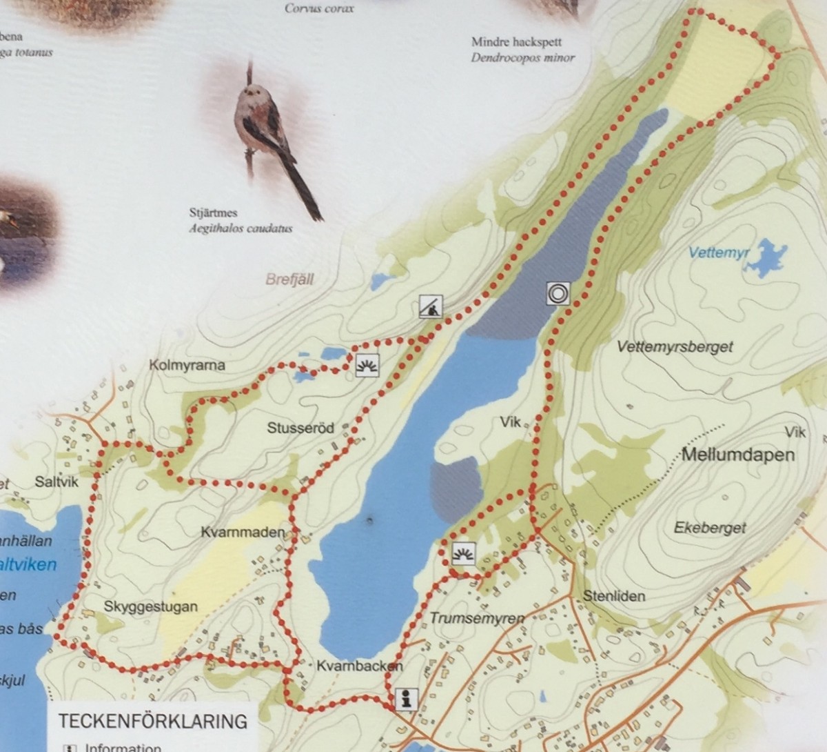 Stigar runt Ejgdetjärnet