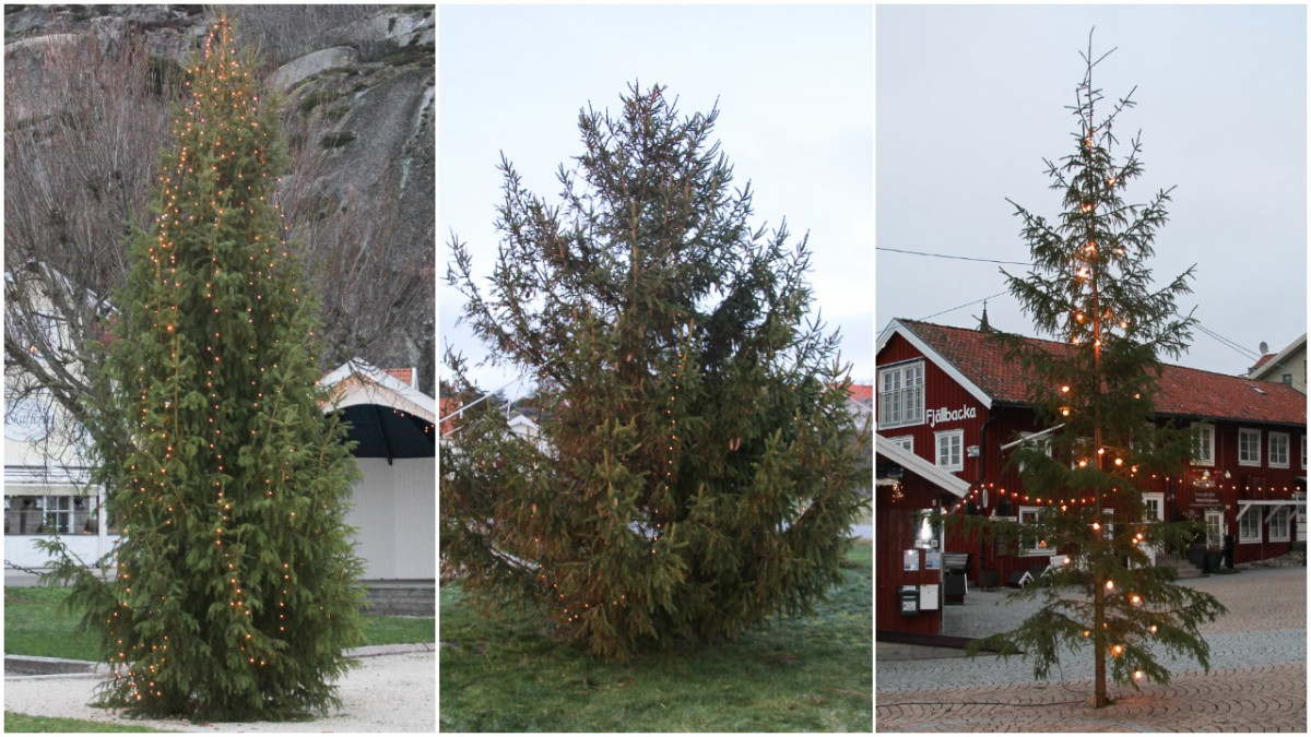 Fr v Grebbestad, Kämpersvik och Fjällbackas stoltheter. Foto: Lars Joelsson