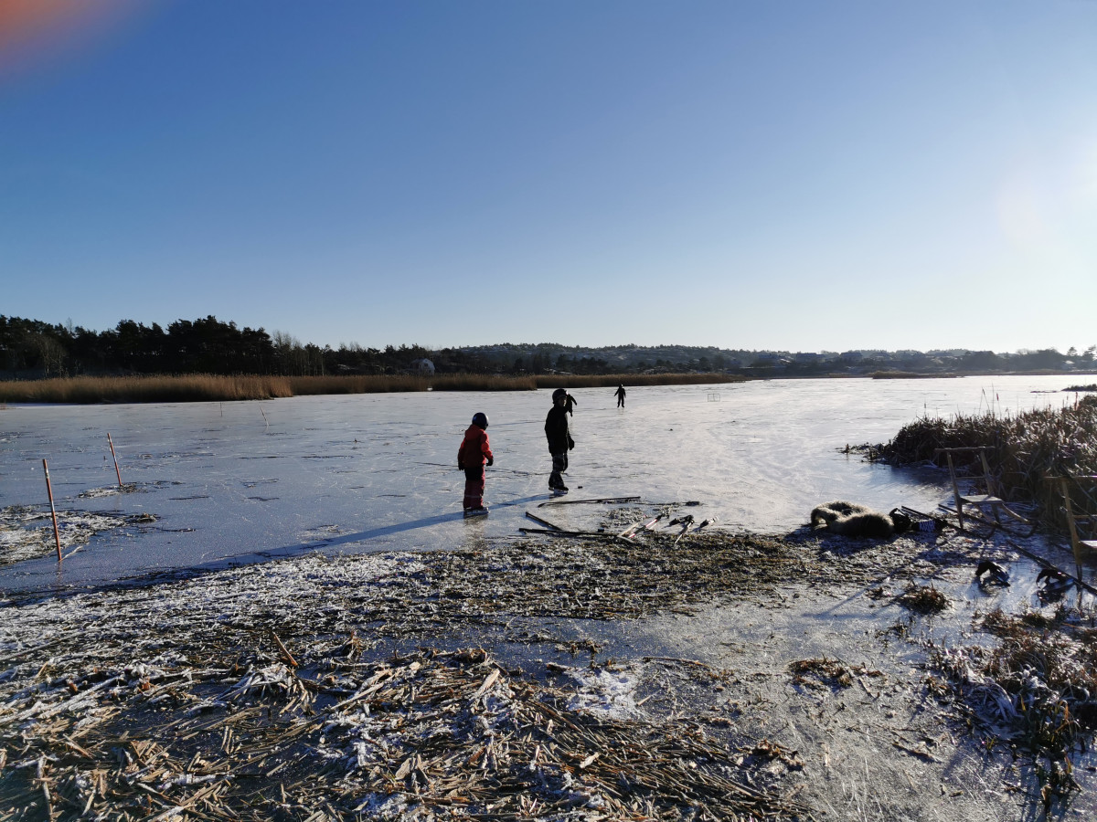 Fin vinterdag på Ejgdetjärnet Foto: Anette Lehto